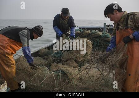 Xingcheng, province de Liaoning, Chine. 9 mai, 2016. Comme les ressources halieutiques côtières de la Chine sont de plus en plus décimées au cours des deux dernières décennies, causé par la pollution et la surpêche, l'augmentation des coûts de la pêche ont changé la vie des pêcheurs chinois évidemment. De nombreux pêcheurs ont choisi de vendre leurs bateaux et complètement renoncer à la vie de la pêche. La mer de Bohai est la source des ressources halieutiques marines dans le Nord de la Chine à l'avant, mais maintenant, la mer est devenue presque vide et de nombreuses espèces ont disparu. Wang Zhiqiang, a près de 40 ans, pêcheur qui vit à Xingcheng city, à Liaoning provinc Banque D'Images