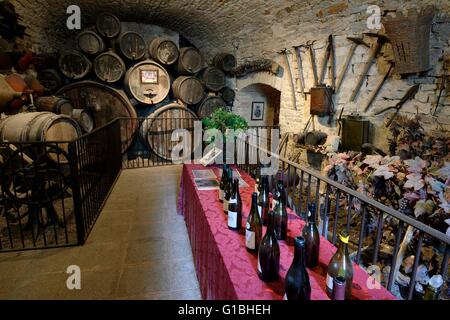 En France, la Haute Saône, GY, château du 11ème au 18ème siècle, caves, musée de la vigne et du vin Banque D'Images