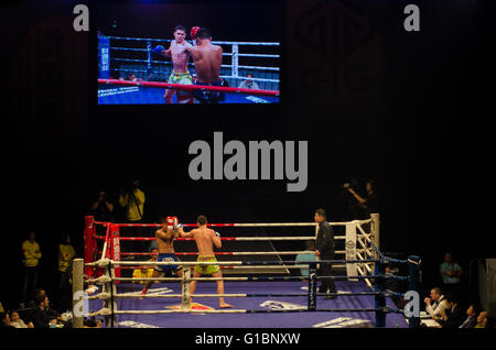 Sydney, Australie - 18 juillet 2015 : la Chine contre l'Australie monde Ligue des combats ont eu lieu à Sydney le 18 juillet dernier, à l'Entertainment Centre (Qantas Credit Union Arena) Banque D'Images