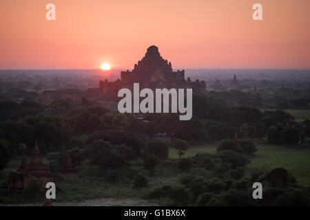 Le lever du soleil sur le temple Dhammayangyi à Bagan, Myanmar Banque D'Images