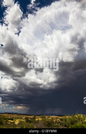 Les nuages sombres de l'approche d'un orage près de Oracle, Arizona, USA Banque D'Images