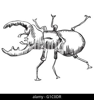 Stag beetle illustration noir et blanc Illustration de Vecteur