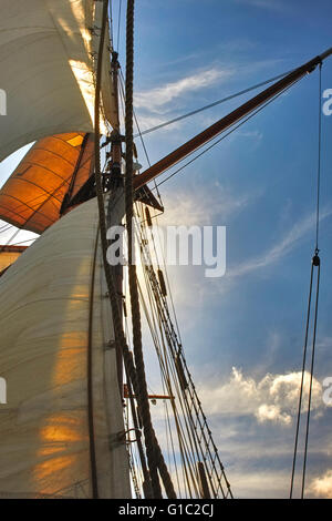 Voiles de misaine et le grand voilier Amphitrite Banque D'Images