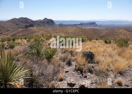 Le Parc National Big Bend de sotol Vista donnent sur. Cette vue est à l'égard du sud du Mexique et de l'escarpement de Santa Elena. Banque D'Images