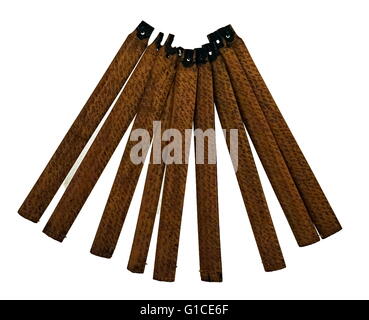 Les os et bois de feuillets de divination Chine ancienne. Banque D'Images