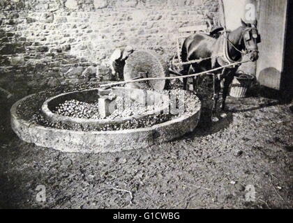 Tirage photographique d'un raisin d'être pressée pour le vin. En date du 19e siècle Banque D'Images