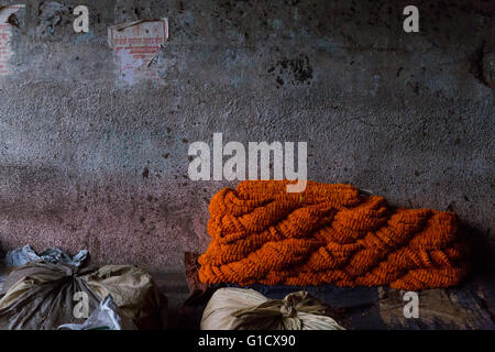 Marigold guirlandes, Mullik Ghat Marché aux Fleurs, Kolkata, Inde Banque D'Images