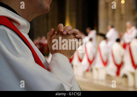 Prêtre ordinations à la cathédrale Notre-Dame de Paris. Paris. La France. Banque D'Images
