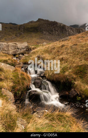 Ruisseau de montagne et cascade Ogwen Valley dans le Glyderau chaîne de montagnes dans le nord du parc national de Snowdonia au nord du Pays de Galles Banque D'Images
