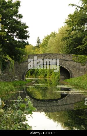 Vieux Pont de pierre sur un canal en Irlande, reflétant dans la rivière Banque D'Images