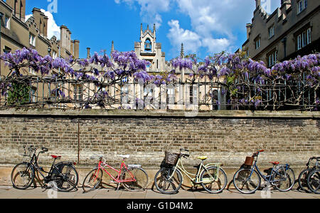 Vélos contre le mur à l'extérieur Sidney Sussex College, Université de Cambridge Banque D'Images