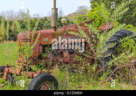 Vieux tracteur agricole rouge assis dans un champ envahi par la Banque D'Images