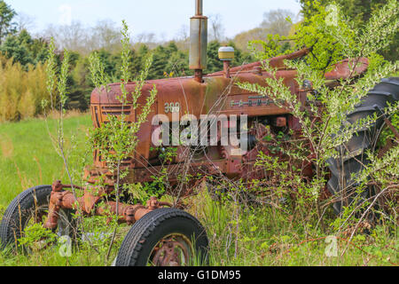 Vieux tracteur agricole rouge assis dans un champ envahi par la Banque D'Images