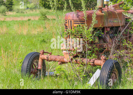 Vieux tracteur agricole rouge assis dans un champ envahi par la Banque D'Images