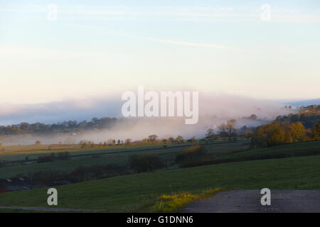 Brume matinale sur le coton dans le Staffordshire, Royaume-Uni Banque D'Images