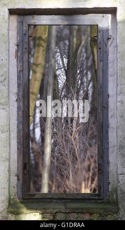 Regarder à travers une fenêtre d'une maison en ruines dans la forêt avec une création d'effet. Banque D'Images