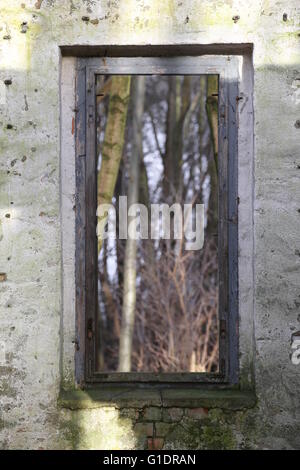 Regarder à travers une fenêtre d'une maison en ruines dans la forêt avec une création d'effet. Banque D'Images