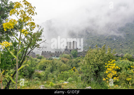 Chypre DU NORD SAINT HILARION CHÂTEAU LES FLEURS JAUNES DE FENOUIL SAUVAGE ET DE LA BRUME EN MOUVEMENT SUR LE TOUR D'ENTRÉE Banque D'Images