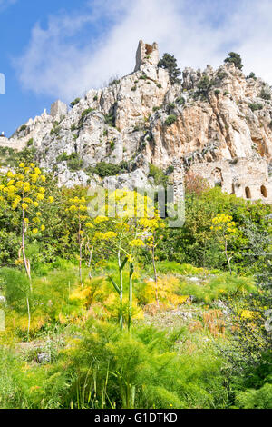 Chypre DU NORD SAINT HILARION CHÂTEAU LES FLEURS JAUNES DE FENOUIL SAUVAGE À LA BASE DE LA MONTAGNE Banque D'Images