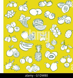 Modèle vectoriel d'une collection de fruits Illustration de Vecteur