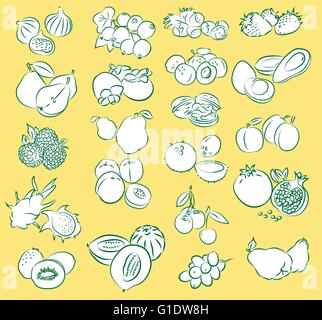 Illustration vecteur de fruits collection dans mode linéaire sur fond jaune Illustration de Vecteur