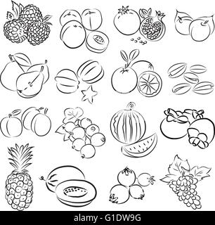 Illustration vecteur de fruits collection dans mode linéaire Illustration de Vecteur