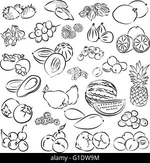 Illustration vecteur de collecte de fruits en mode linéaire Illustration de Vecteur