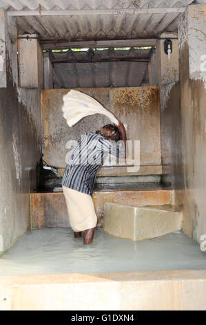 Fort Cochin, Inde - 16 janvier 2015 : lavage du linge à fort Cochin sur l'Inde Banque D'Images