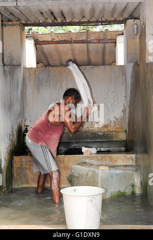 Fort Cochin, Inde - 16 janvier 2015 : lavage du linge à fort Cochin sur l'Inde Banque D'Images