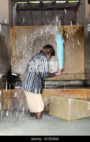 Fort Cochin, Inde - 16 janvier 2015 : lavage du linge à fort Cochin sur l'Inde Banque D'Images