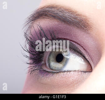 Close-up shot of female eye make-up en rose Banque D'Images