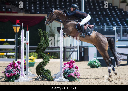 Grand parc de Windsor, Windsor, Royaume-Uni. 13 mai, 2016. Royal Windsor Horse Show. Credit : Action Plus Sport/Alamy Live News Banque D'Images