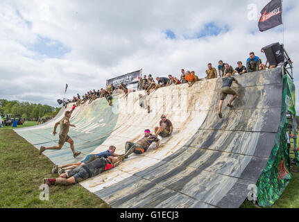 Tough Mudder Défi Banque D'Images