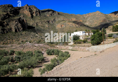 Ferme Blanche en campagne, montagnes de Sierra Alhamilla, Nijar, Almeria, Espagne Banque D'Images