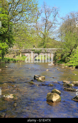 Le Viator Pont sur la rivière Dove à Milldale, Dovedale, parc national de Peak District, Staffordshire, Angleterre, Royaume-Uni. Banque D'Images