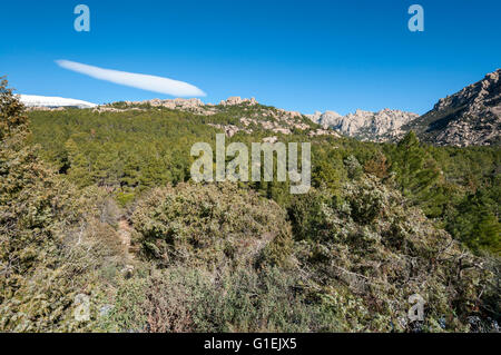 Vues de la Pedriza de Canto Cochino, dans le parc national des montagnes de Guadarrama, Madrid, Espagne Banque D'Images