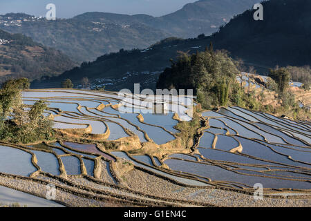 Rizières en terrasses, montagnes, forêts et villages, Quanfuzhuang, Yuanyang County, Province du Yunnan, Chine Banque D'Images