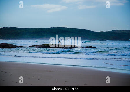 Pêche Surf, Un Mile Beach, Port Stephens Banque D'Images