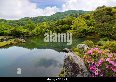 Belle japonaise étang jardin entouré de fleurs et d'azalées roses des arbres verts Banque D'Images