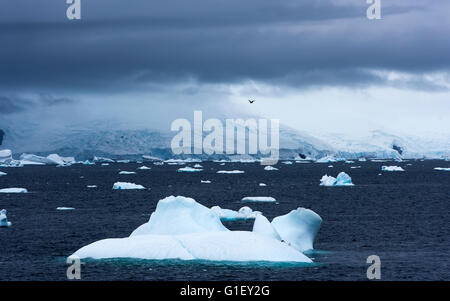 La glace flottante bleu et moody sky Point Portail Péninsule Antarctique Antarctique Banque D'Images
