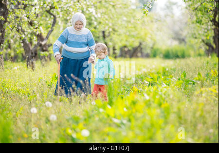 Femme Senior en charge par arrière-petit-fils de marcher dans les vergers en fleurs Banque D'Images