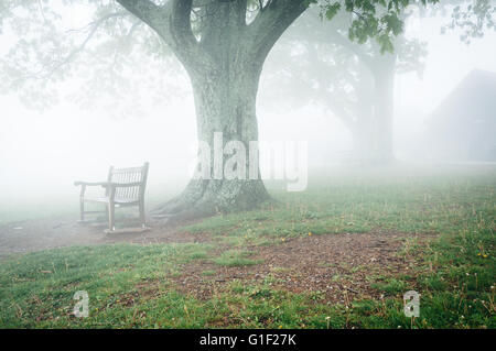 Benche et arbre dans le brouillard, derrière le Centre d'accueil de Dickey Ridge dans le Parc National Shenandoah, en Virginie. Banque D'Images