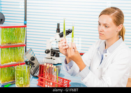 Parution du modèle. Technicien en laboratoire de travail féminin avec des plantes génétiquement modifiées. Banque D'Images