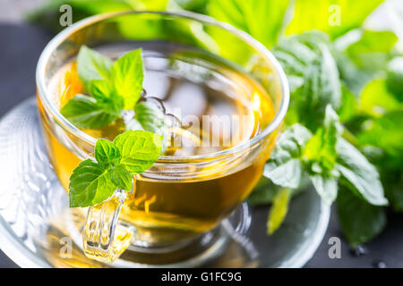 Le thé. Thé à la menthe. Tisane. Feuille de menthe. Les feuilles de menthe. Du thé dans une tasse en verre, les feuilles de menthe, thé séché, des tranches de citron vert et menthe thé herbes. l Banque D'Images