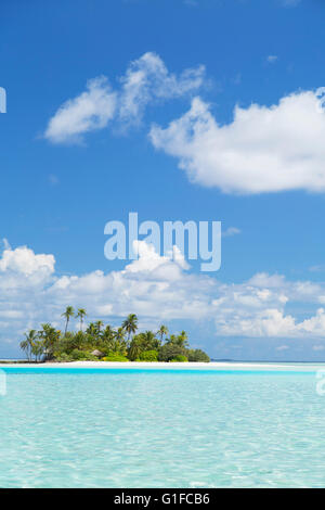 Tropical Island, South Male Atoll, Maldives, Atoll de Kaafu Banque D'Images