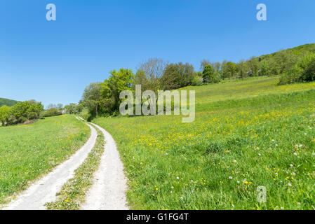 Champ lumineux ensoleillé chemin idyllique au printemps dans la région de Hohenlohe, un district dans le sud de l'Allemagne Banque D'Images