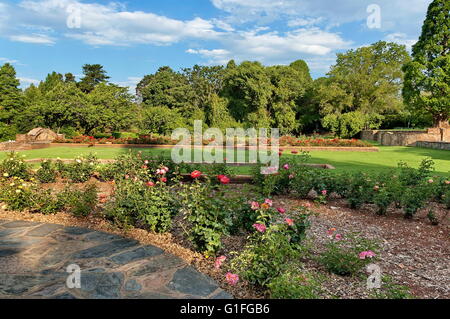 Fragment de rosarium dans jardin botanique de Johannesburg, Afrique du Sud Banque D'Images