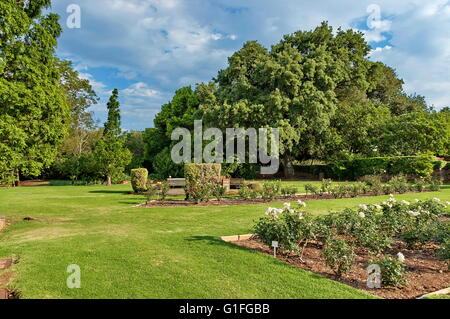 Fragment de rosarium dans jardin botanique de Johannesburg, Afrique du Sud Banque D'Images
