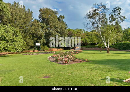 Fragment du Jardin botanique de Johannesburg, Afrique du Sud Banque D'Images
