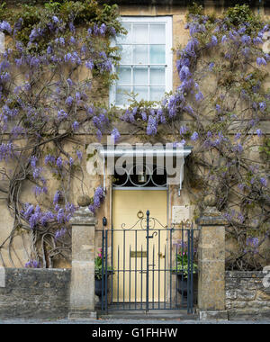 Glycine sur une maison en pierre de Cotswold, Broadway, Cotswolds, Worcestershire, Angleterre. Banque D'Images